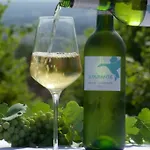 別荘 Domaine De La Durantie Duplex Vieux Chateau *