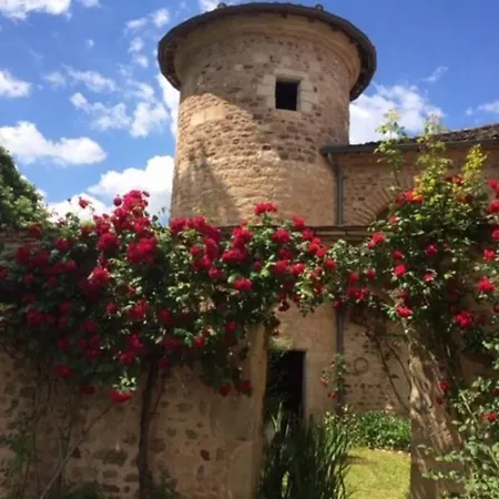 Domaine De La Durantie Duplex Vieux Chateau * Castelnau-de-Montmiral