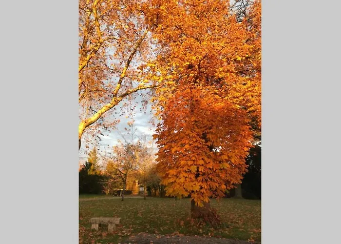 Domaine De La Durantie Duplex Vieux Chateau Castelnau-de-Montmiral