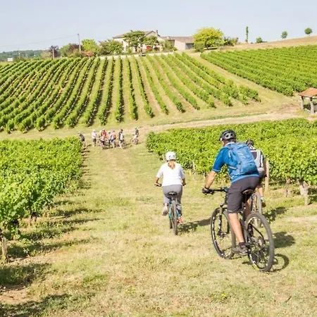 Domaine De La Durantie Duplex Vieux Chateau * Castelnau-de-Montmiral
