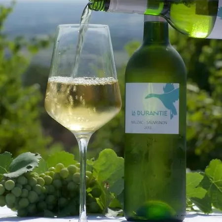 Hébergement de vacances Domaine De La Durantie Duplex Vieux Chateau *