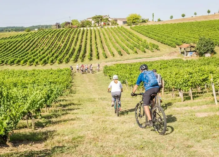 Domaine De La Durantie Duplex Vieux Chateau * 卡斯特尔诺-德蒙特米尔