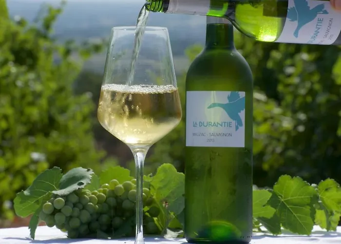 度假居 Domaine De La Durantie Duplex Vieux Chateau *