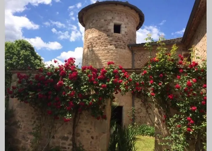 Domaine De La Durantie Duplex Vieux Chateau * 卡斯特尔诺-德蒙特米尔